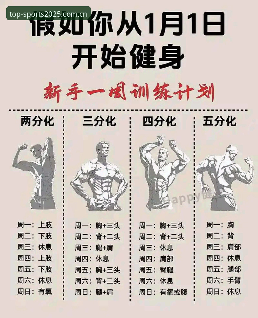 如何通过完美体育使用教程轻松上手2025新版？用户吴明亲测分享